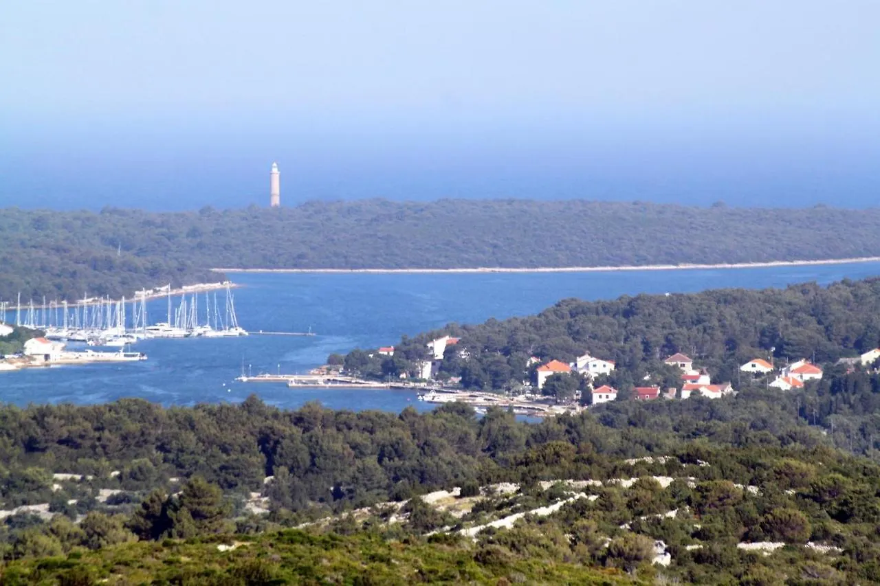 Family Friendly Apartments With A Swimming Pool Verunic, Dugi Otok - 14286 Veli Rat Horvátország