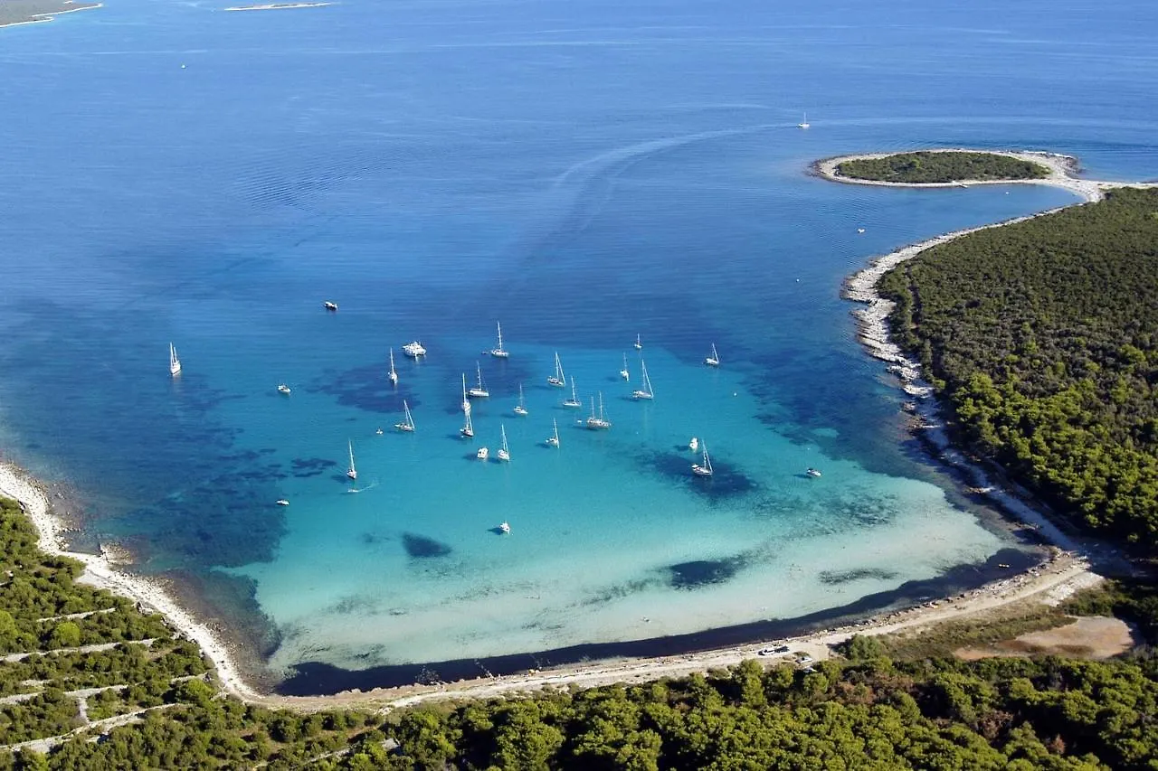 Family Friendly Apartments With A Swimming Pool Verunic, Dugi Otok - 14286 Veli Rat